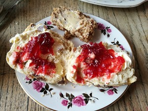 Scone and jam at the Olde Young Tea House
